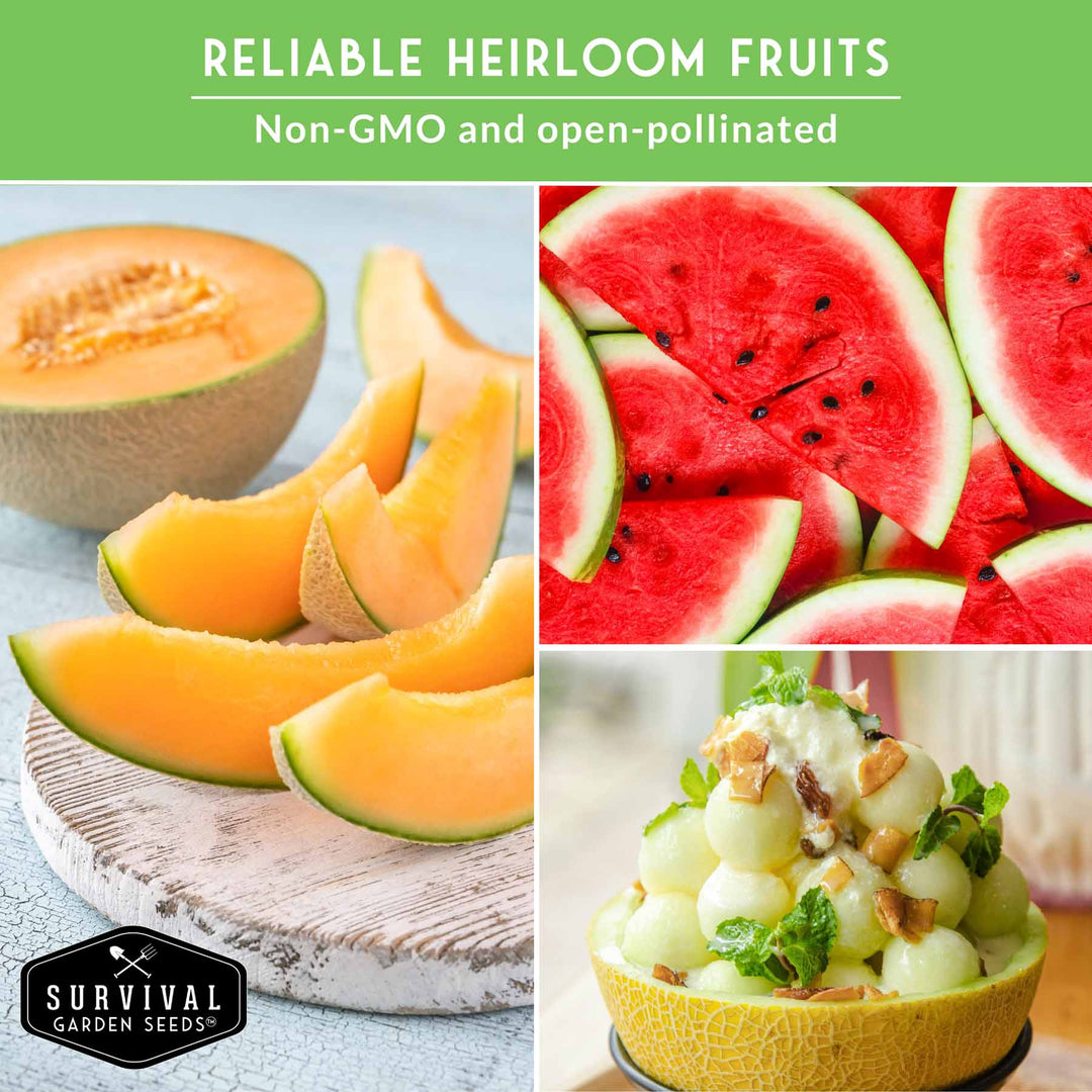 Melon Seed Collection – 6 Heirloom Varieties of Watermelon, Cantaloupe &amp; Honeydew for High-Yield Summer Gardens