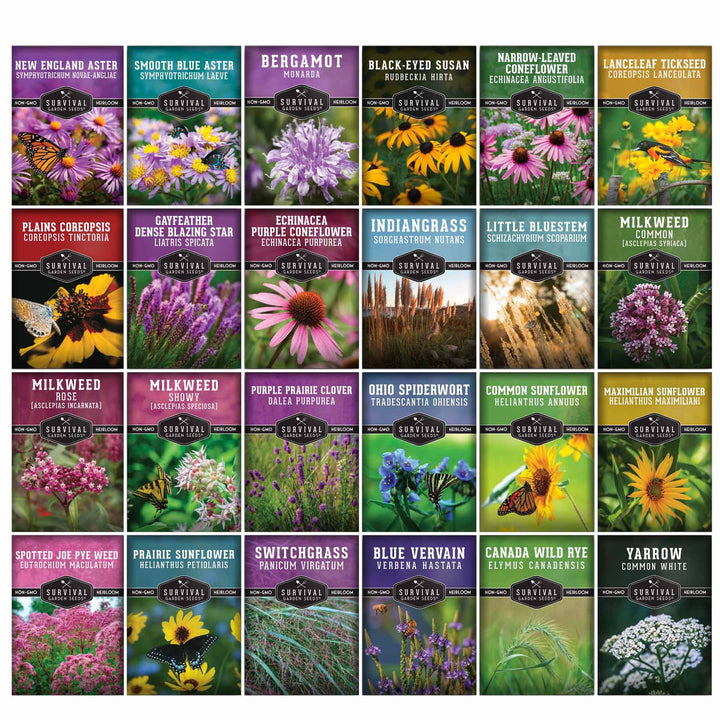 Native Habitat Seed Collection – 24 Native Wildflowers &amp; Grasses for Pollinators, Meadows &amp; Low-Maintenance Landscapes