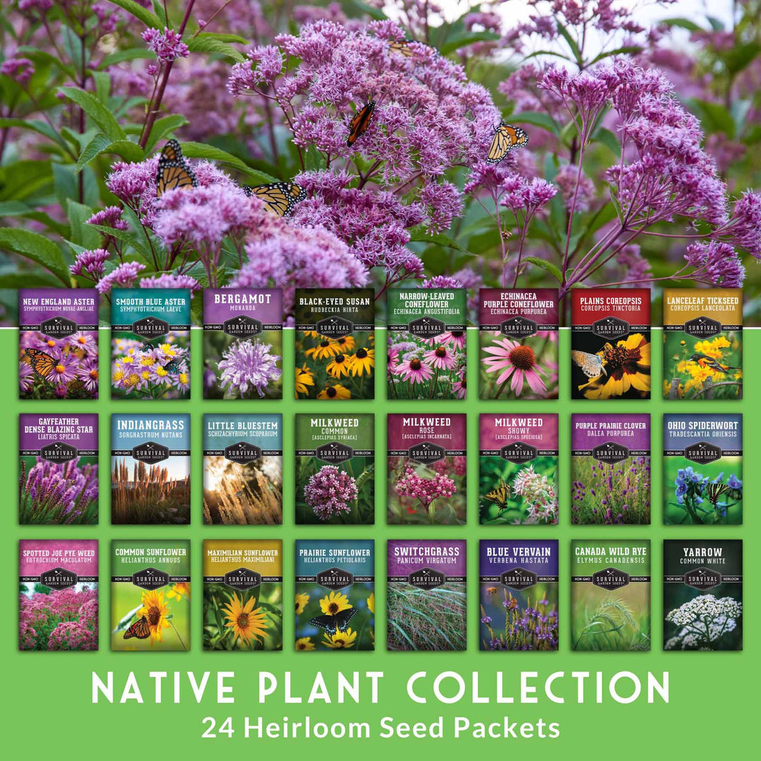 Native Habitat Seed Collection – 24 Native Wildflowers &amp; Grasses for Pollinators, Meadows &amp; Low-Maintenance Landscapes