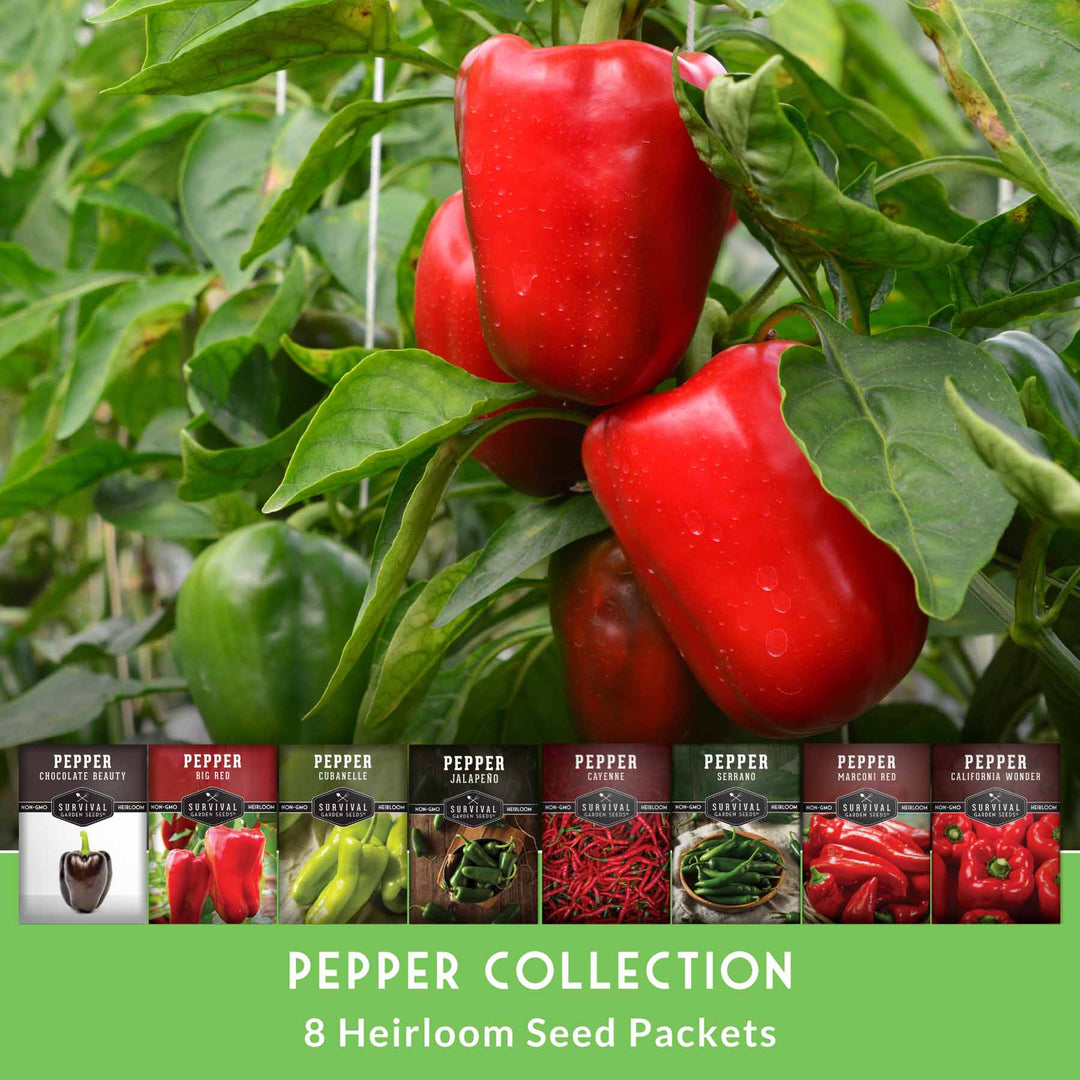 Eight Pepper Seed Collection – Heirloom Non-GMO Sweet &amp; Hot Pepper Varieties for Home Gardening and Food Preservation