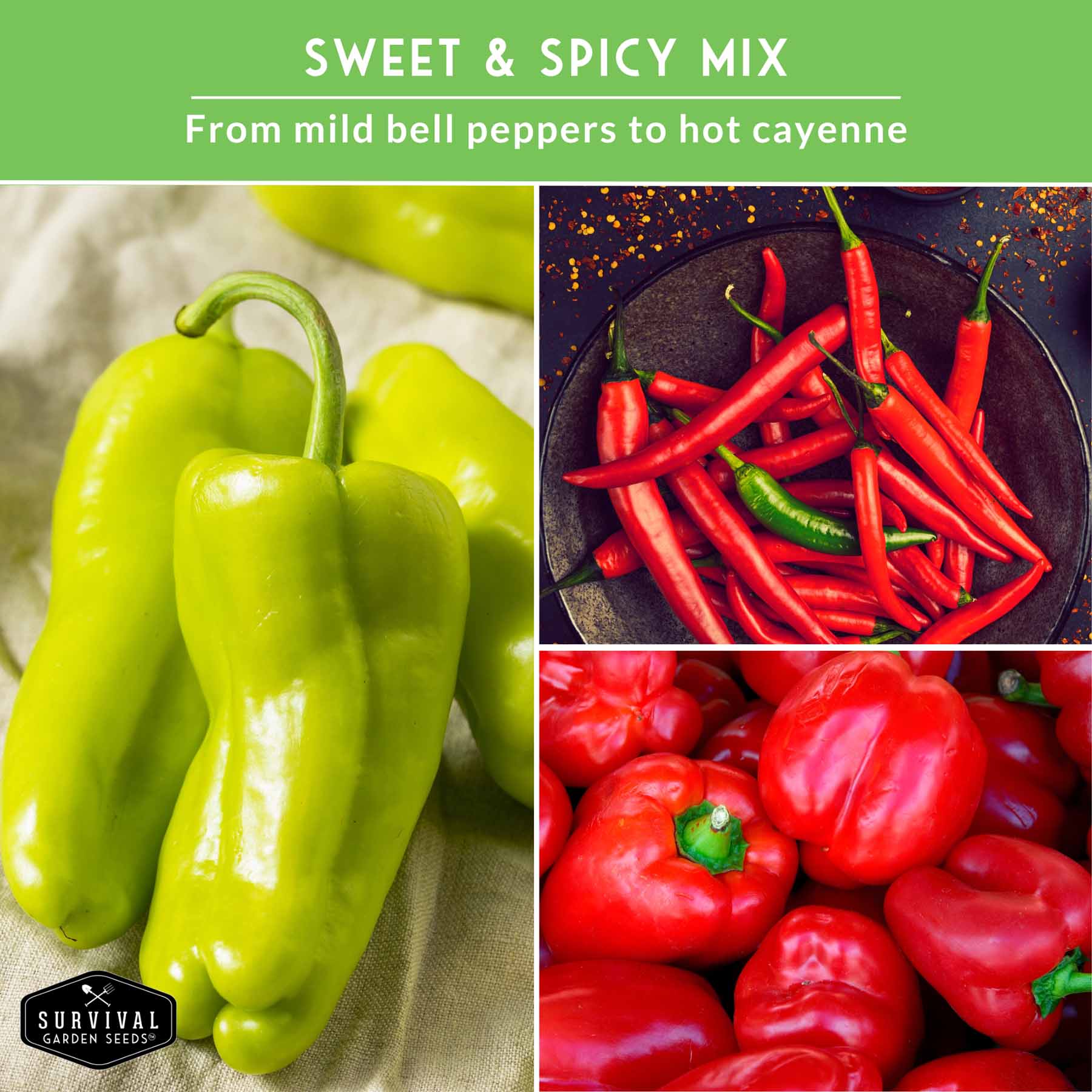 8 Peppers Seed Collection  - Sweet & Hot Peppers
