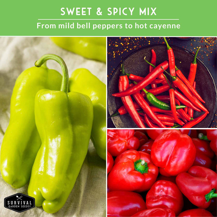 Eight Pepper Seed Collection – Heirloom Non-GMO Sweet &amp; Hot Pepper Varieties for Home Gardening and Food Preservation