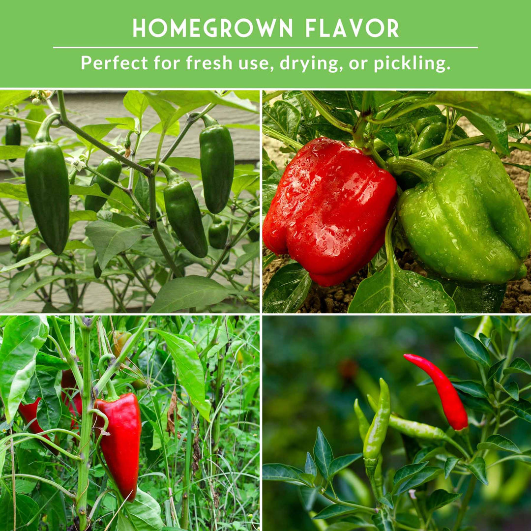 Eight Pepper Seed Collection – Heirloom Non-GMO Sweet &amp; Hot Pepper Varieties for Home Gardening and Food Preservation