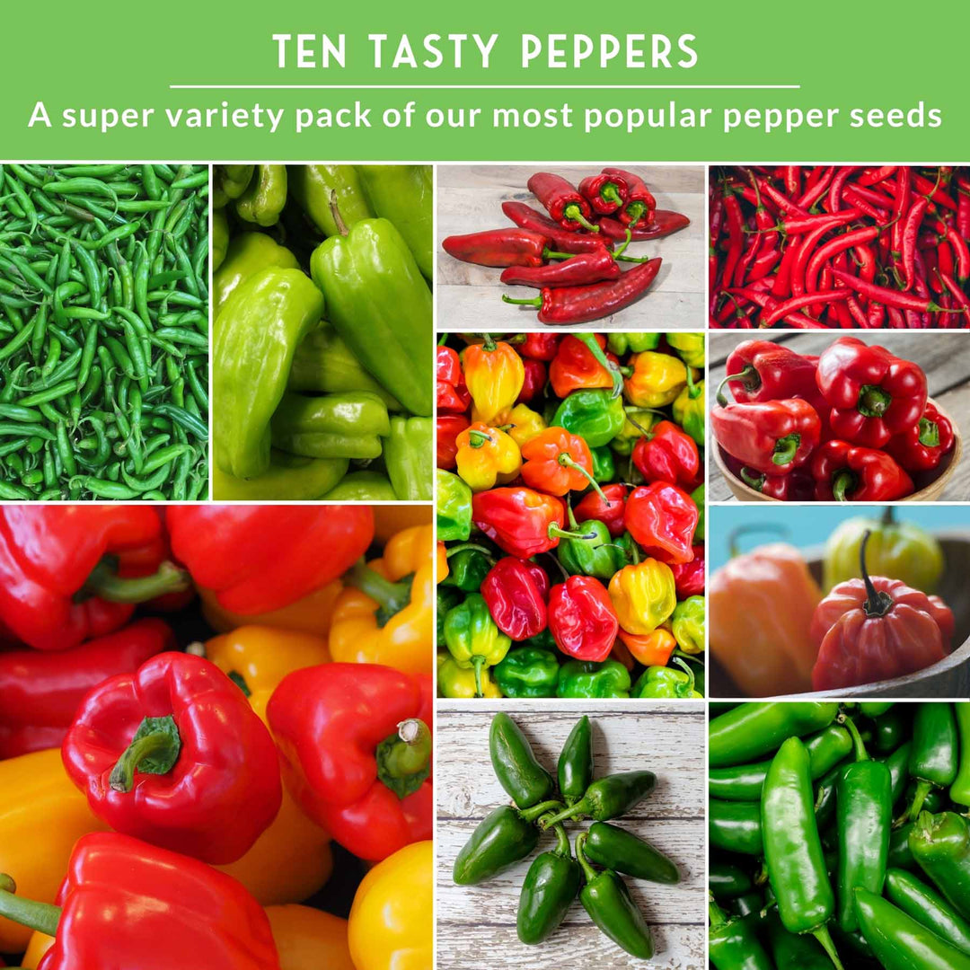 10 Variety Pepper Seed Collection – Non-GMO Heirloom Hot &amp; Sweet Peppers for Garden, Container, or Greenhouse Growing