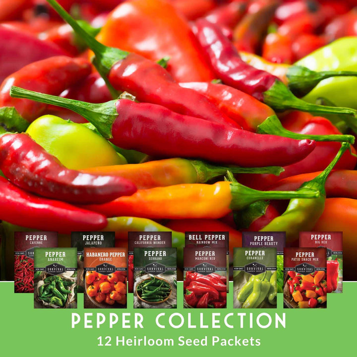 12-Variety Heirloom Pepper Seed Collection – Non-GMO Hot &amp; Sweet Peppers for Home and Container Gardens