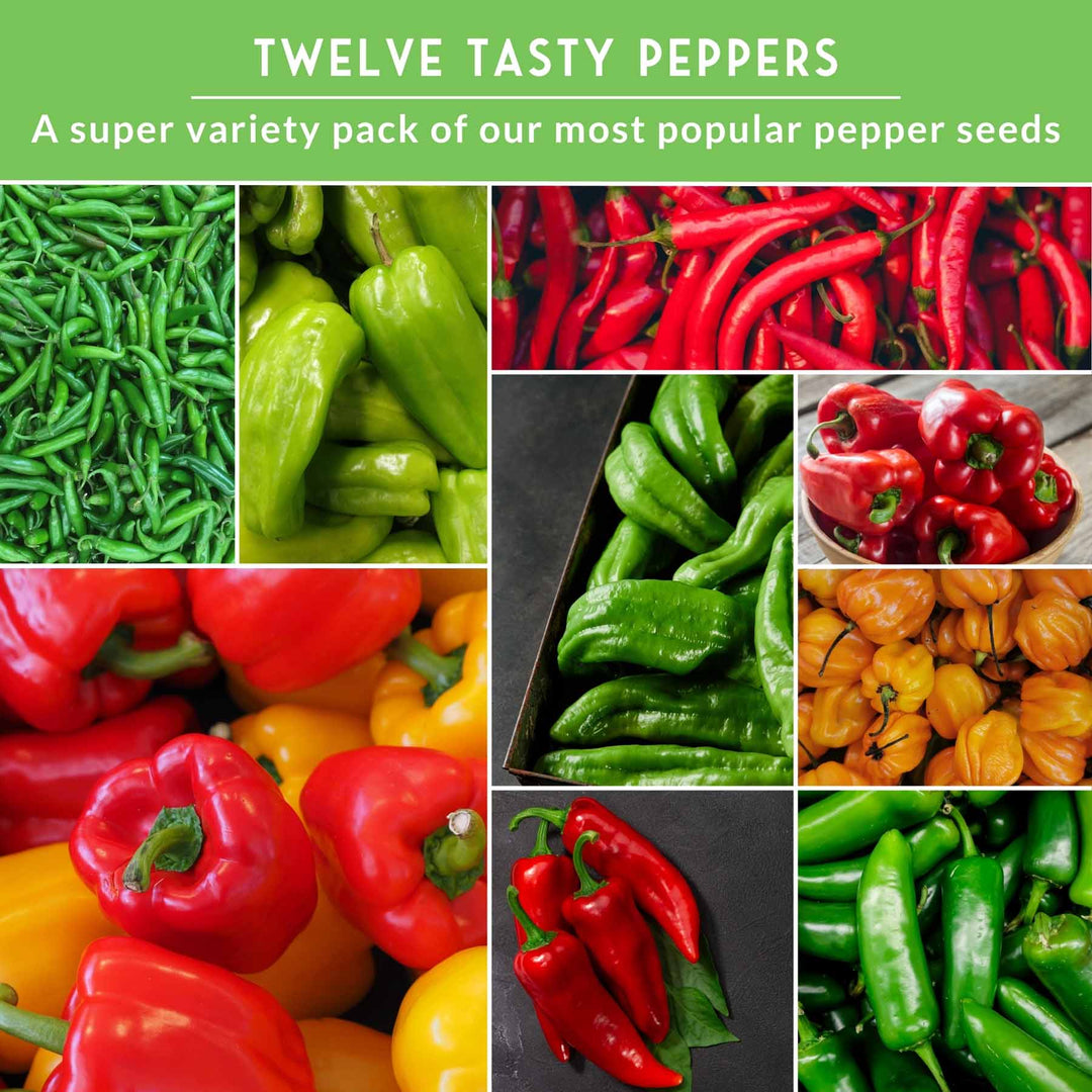 12-Variety Heirloom Pepper Seed Collection – Non-GMO Hot &amp; Sweet Peppers for Home and Container Gardens