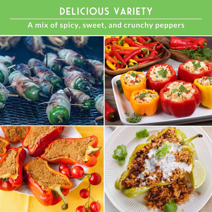 12-Variety Heirloom Pepper Seed Collection – Non-GMO Hot &amp; Sweet Peppers for Home and Container Gardens