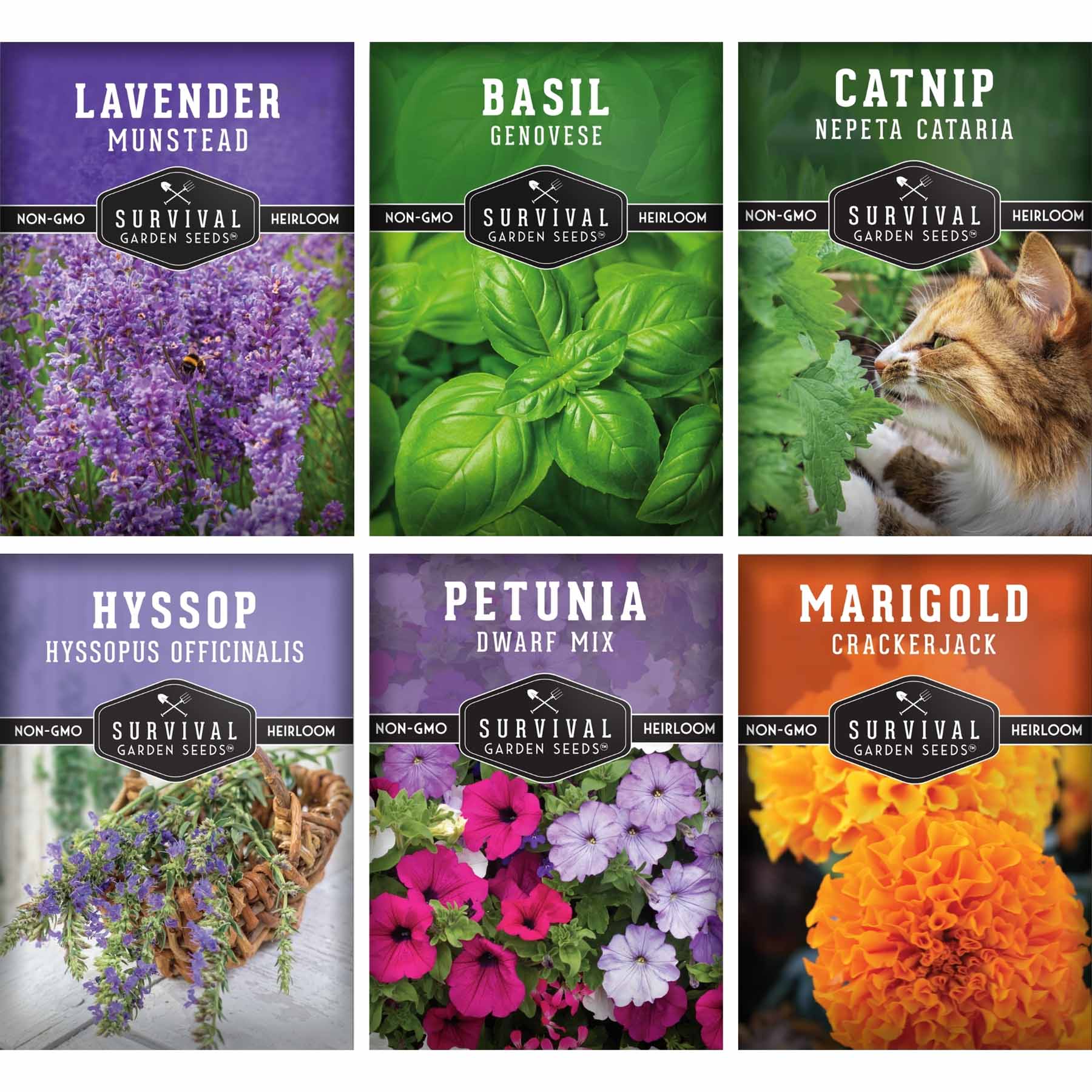 Pest Defense Seed Collection – 6 Heirloom Herbs & Flowers for Natural Garden Protection