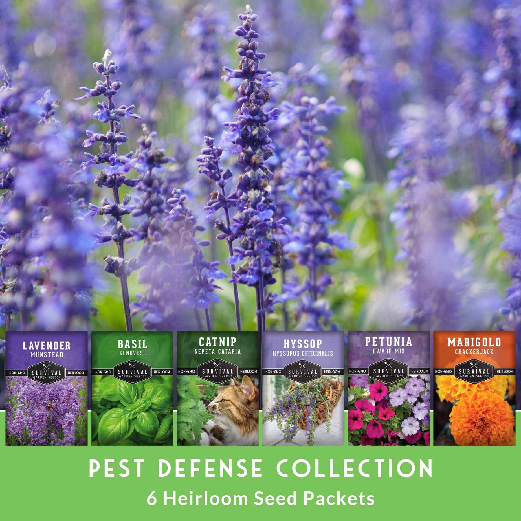 Pest Defense Seed Collection – 6 Heirloom Herbs & Flowers for Natural Garden Protection