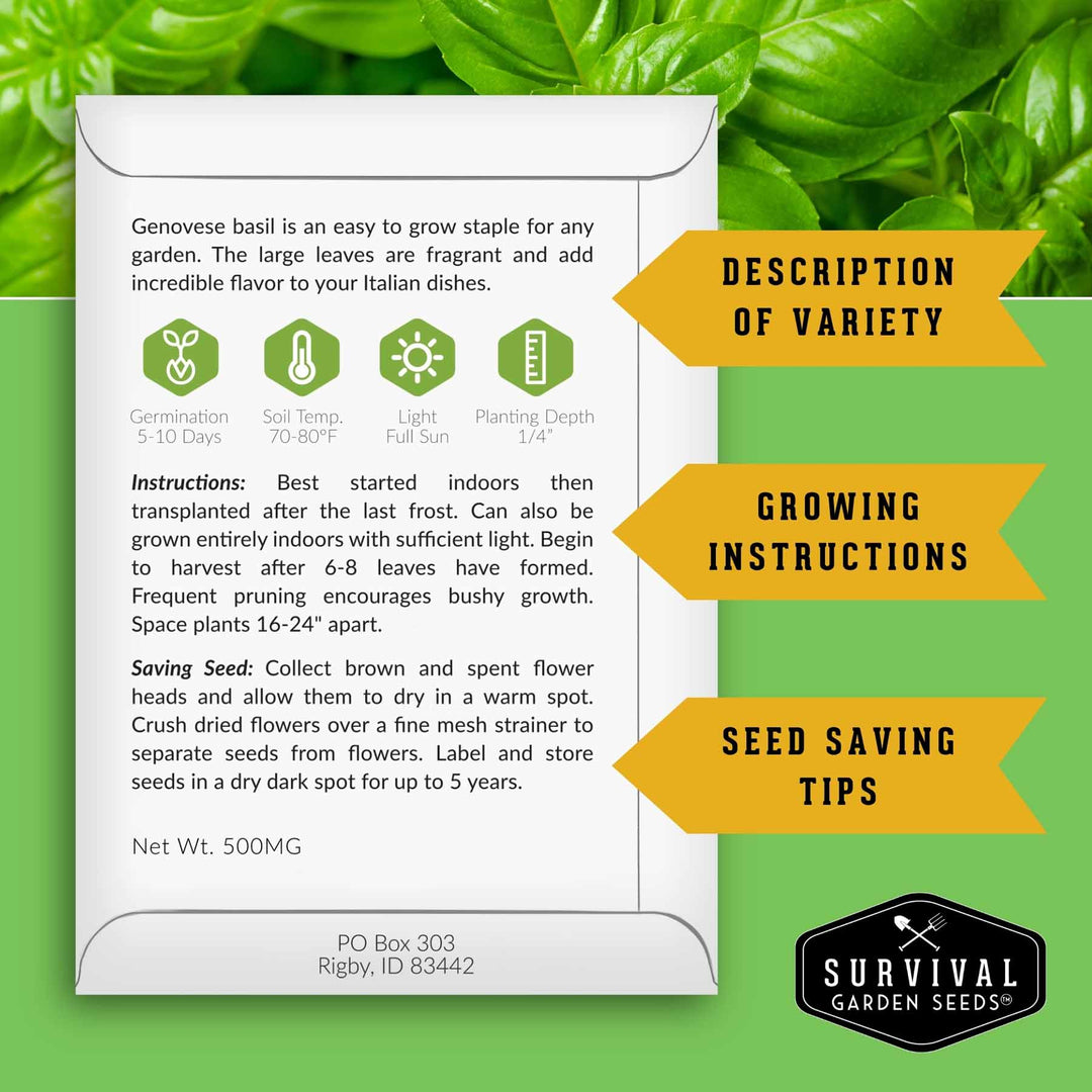 Popular Herb Seed Collection – 5 Heirloom Non-GMO Herbs for Culinary &amp; Garden Use (Spearmint, Basil, Cilantro, Lavender &amp; Parsley) – Indoor or Outdoor Growing Kit