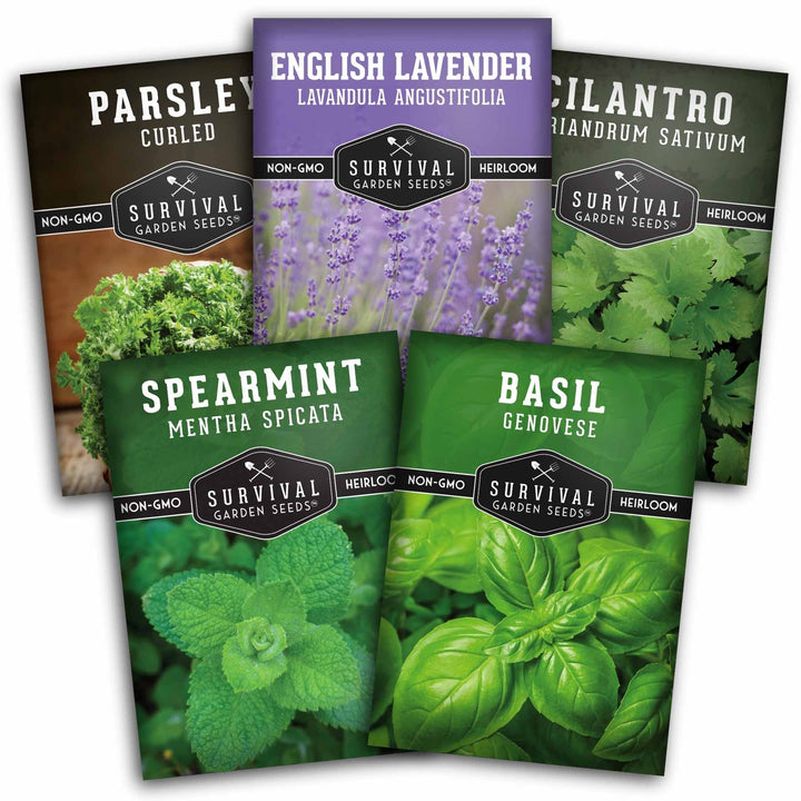 Popular Herb Seed Collection – 5 Heirloom Non-GMO Herbs for Culinary &amp; Garden Use (Spearmint, Basil, Cilantro, Lavender &amp; Parsley) – Indoor or Outdoor Growing Kit