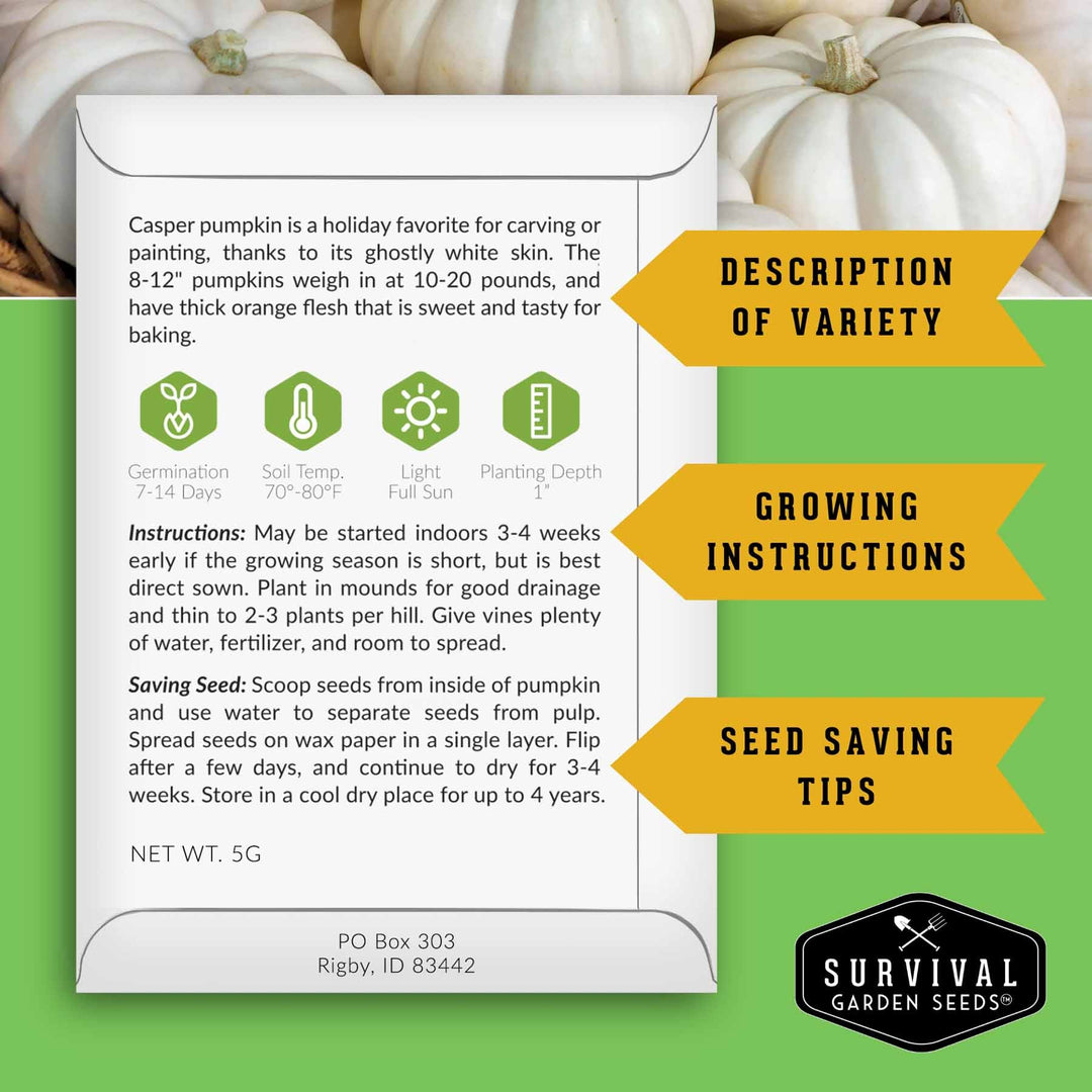 Pumpkin Seeds Variety Pack – 4 Heirloom Non-GMO Varieties for Baking, Carving, Fall Décor &amp; Family Gardening