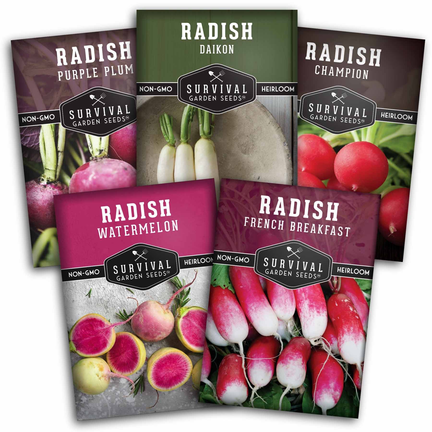 5 Variety Radish Seeds Pack – Heirloom Collection for Spring, Summer & Fall Gardens