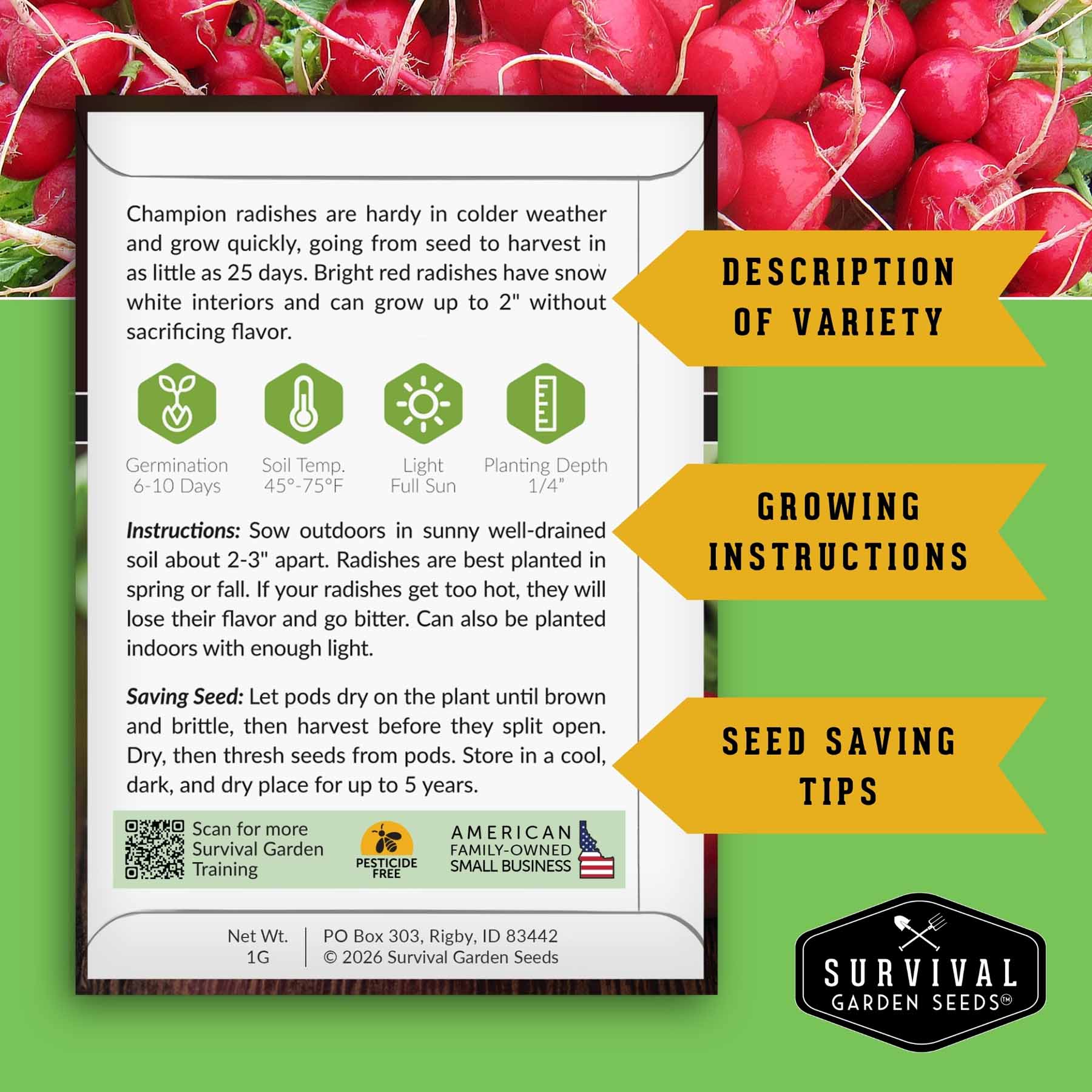 5 Variety Radish Seeds Pack – Heirloom Collection for Spring, Summer & Fall Gardens