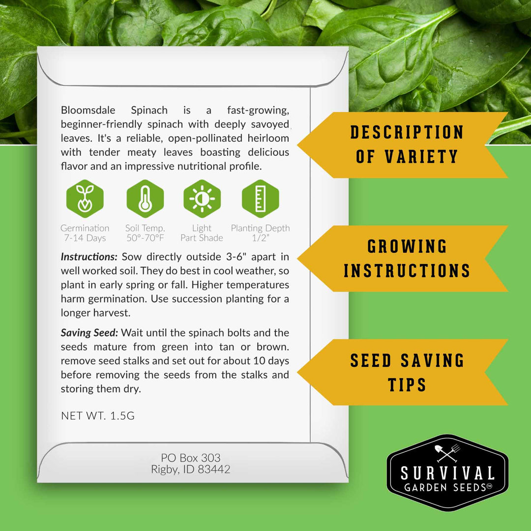 Spinach Seed Collection – 3 Heirloom Non-GMO Varieties: Viroflay, Giant Noble &amp; Bloomsdale for Spring and Fall Gardens