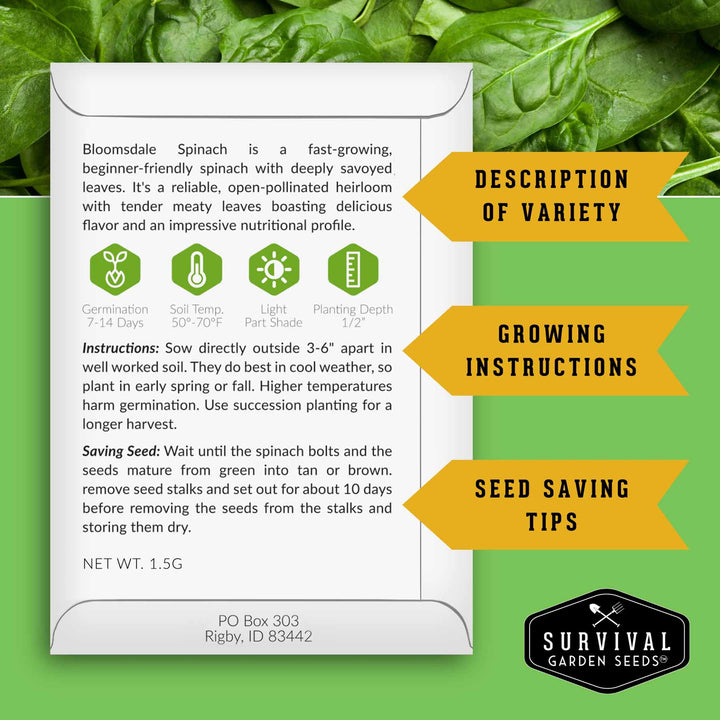 Spinach Seed Collection – 3 Heirloom Non-GMO Varieties: Viroflay, Giant Noble &amp; Bloomsdale for Spring and Fall Gardens