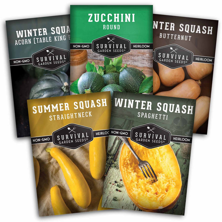 Squash Seed Collection – Zucchini, Yellow Summer, Butternut, Spaghetti &amp; Acorn Varieties for Productive Summer and Winter Harvests