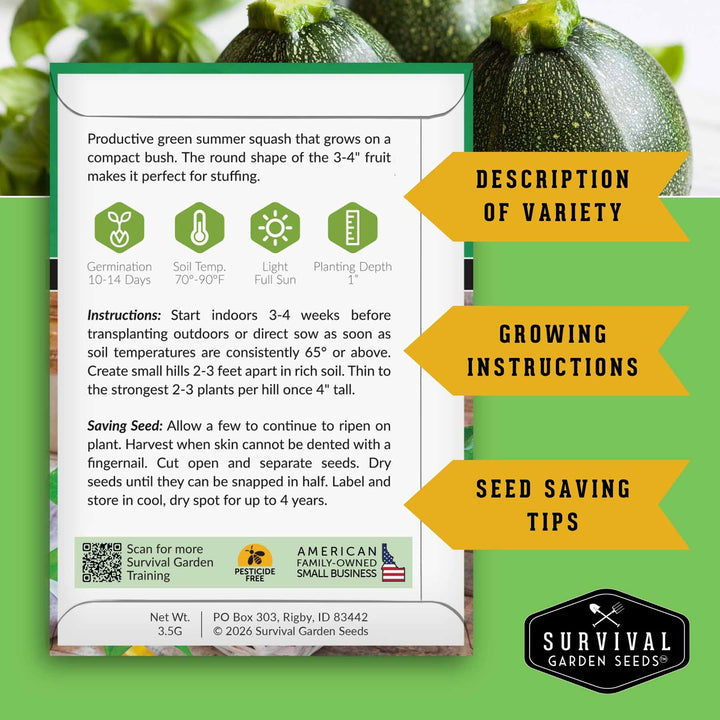 Squash Seed Collection – Zucchini, Yellow Summer, Butternut, Spaghetti &amp; Acorn Varieties for Productive Summer and Winter Harvests