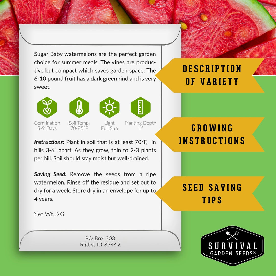 20 Variety Vegetable Garden Starter Seed Collection – Non-GMO Heirloom Kit for Beginner-Friendly Home Growing