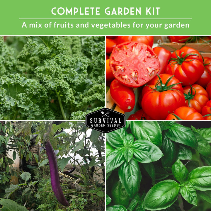 20 Variety Vegetable Garden Starter Seed Collection – Non-GMO Heirloom Kit for Beginner-Friendly Home Growing