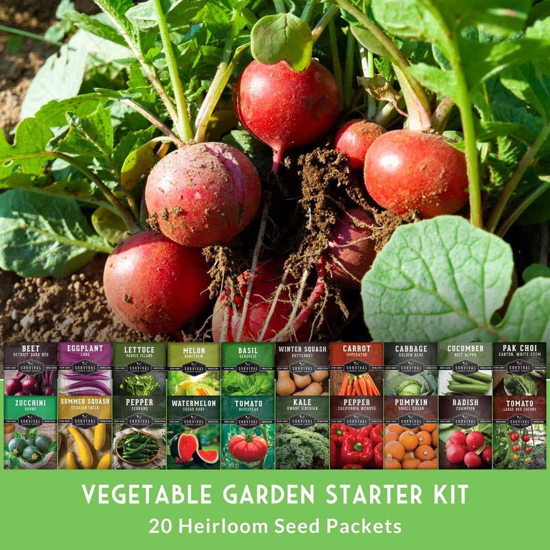 20 Variety Vegetable Garden Starter Seed Collection – Non-GMO Heirloom Kit for Beginner-Friendly Home Growing