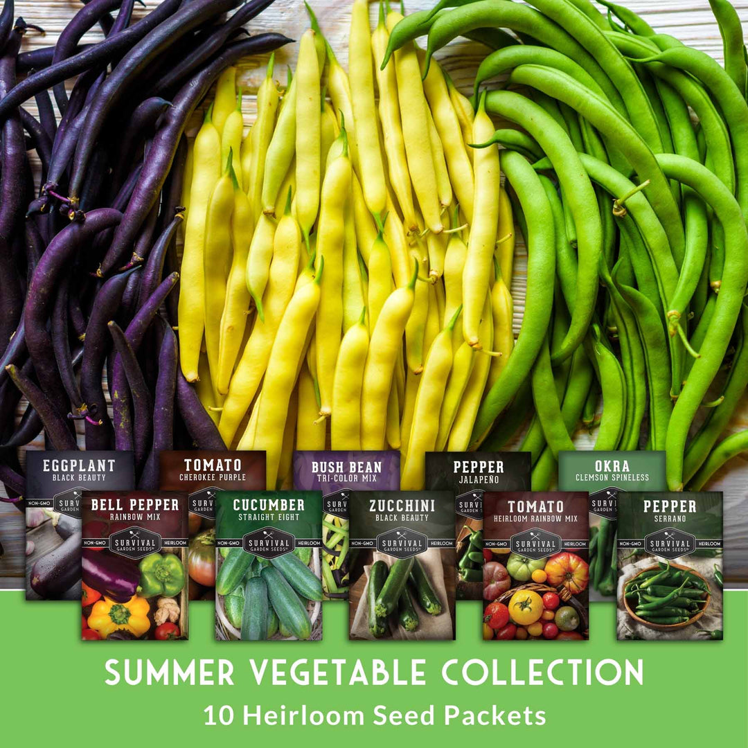 Summer Vegetable Seed Collection – Easy-Growing Tomatoes, Peppers, Beans, Cucumbers, Eggplant &amp; Zucchini