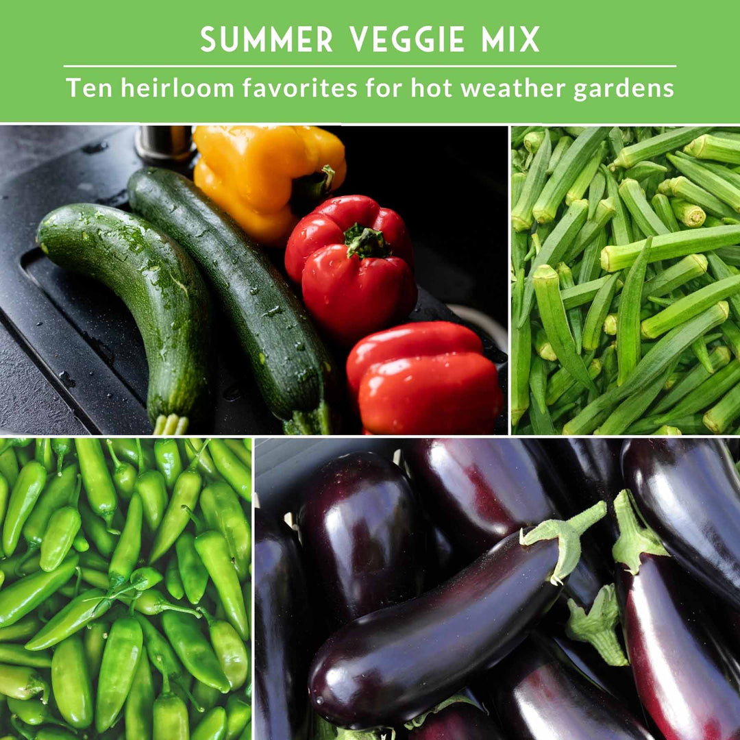 Summer Vegetable Seed Collection – Easy-Growing Tomatoes, Peppers, Beans, Cucumbers, Eggplant &amp; Zucchini