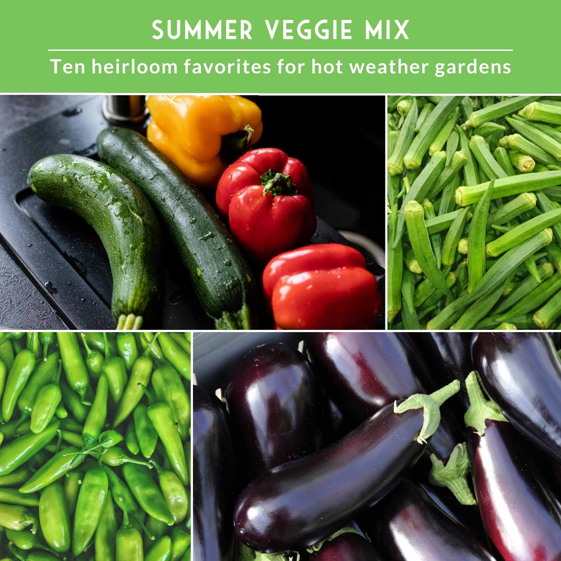 Summer Vegetable Seed Collection – Easy-Growing Tomatoes, Peppers, Beans, Cucumbers, Eggplant & Zucchini
