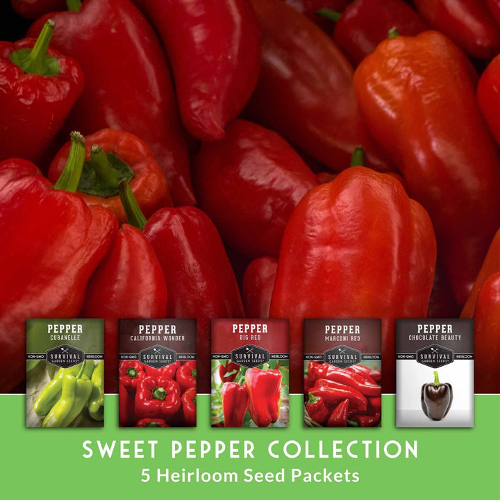 Sweet Pepper Collection - California Wonder Bell, Marconi Red, Cubanelle, Chocolate Beauty, and Big Red Peppers