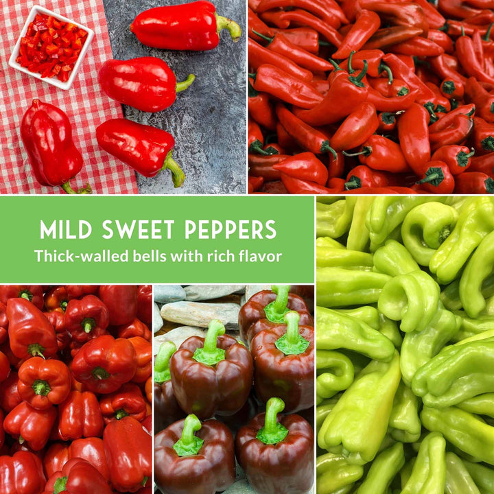 Sweet Pepper Collection - California Wonder Bell, Marconi Red, Cubanelle, Chocolate Beauty, and Big Red Peppers