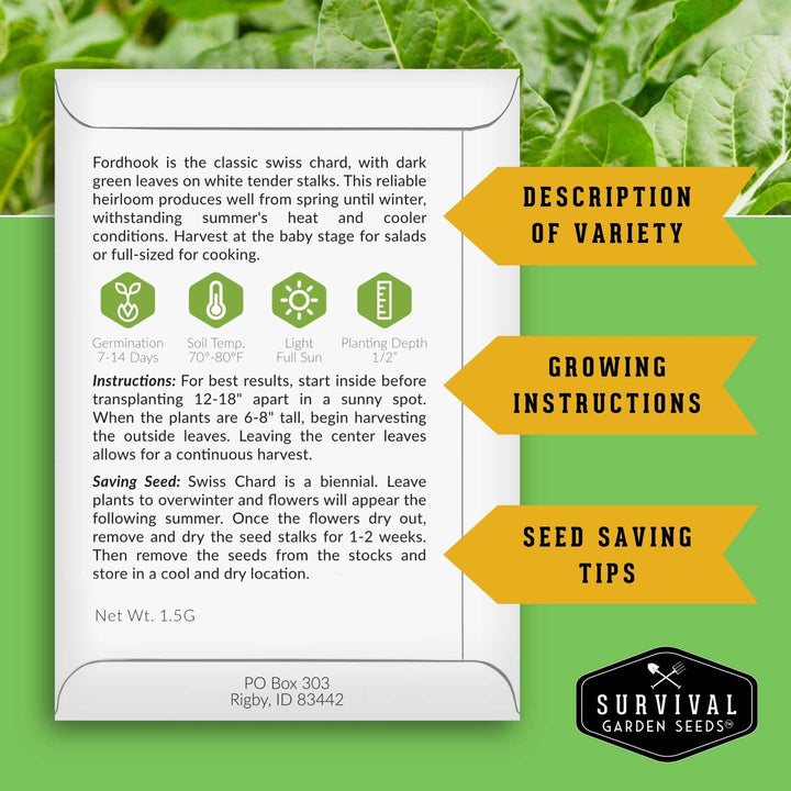 Swiss Chard 3 Variety Seed Collection – Rainbow, Ruby Red, and Fordhook Giant Heirloom Greens for Continuous Harvests