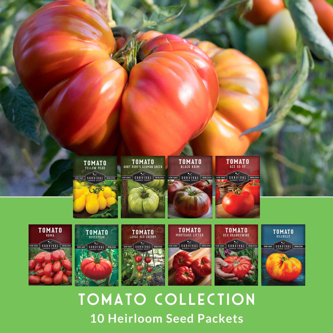 10 Tomato Seed Collection – Heirloom &amp; Garden Favorites for Slicing, Sauces, Canning &amp; Fresh Eating