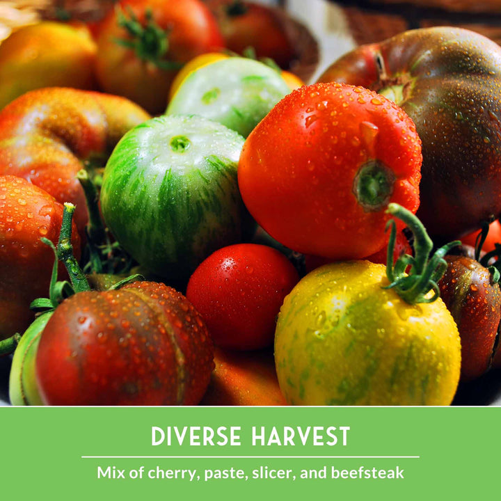 10 Tomato Seed Collection – Heirloom &amp; Garden Favorites for Slicing, Sauces, Canning &amp; Fresh Eating