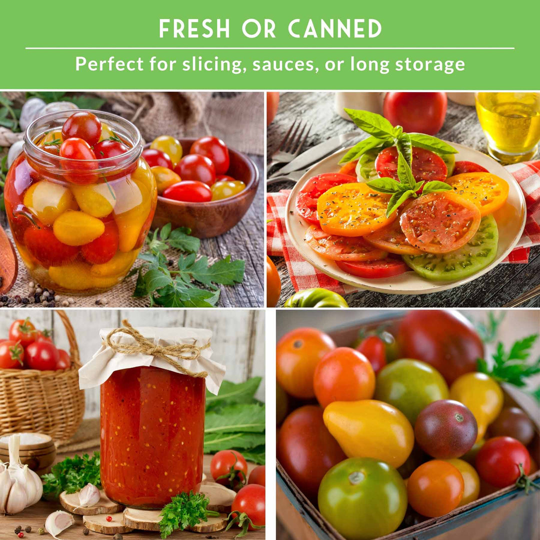 10 Tomato Seed Collection – Heirloom &amp; Garden Favorites for Slicing, Sauces, Canning &amp; Fresh Eating
