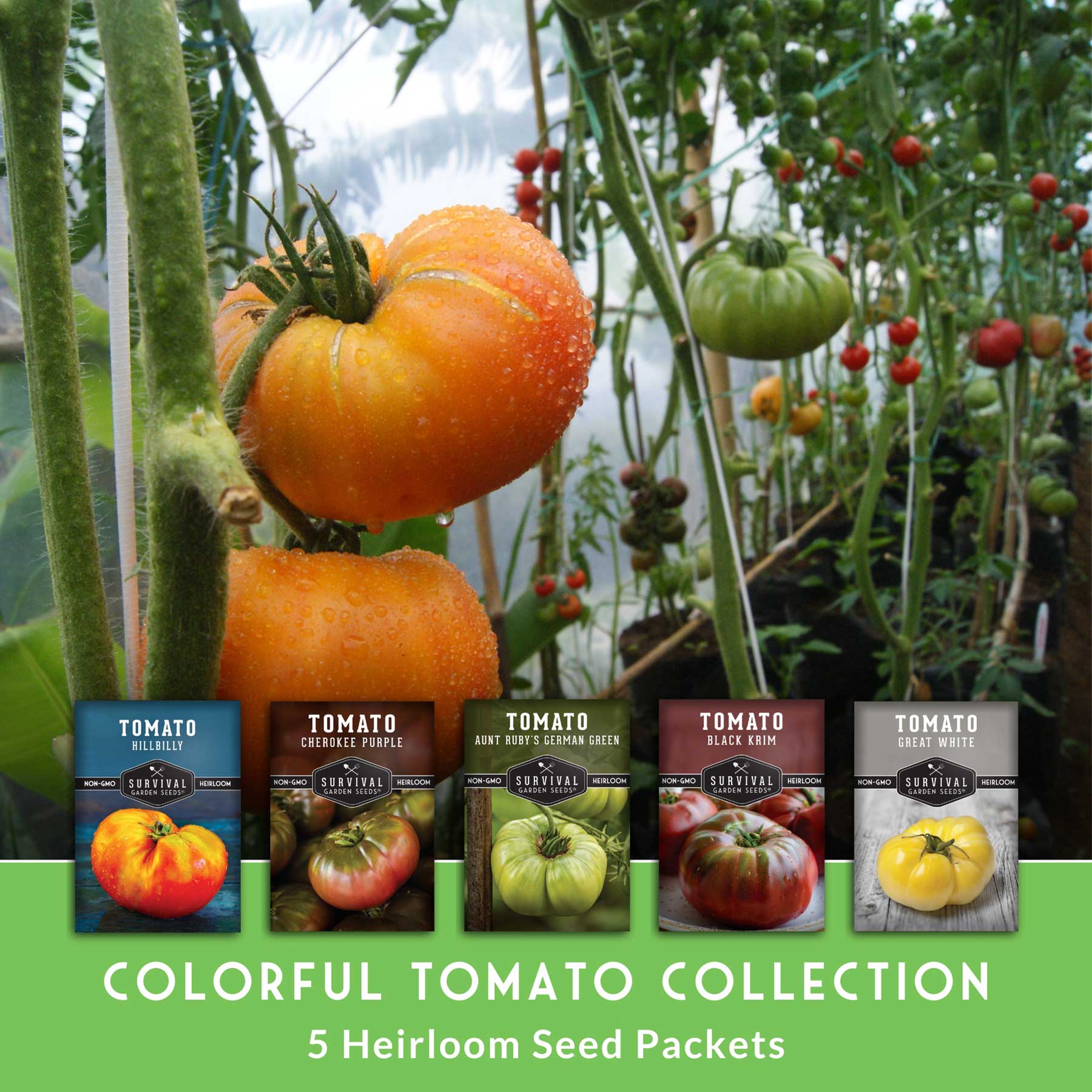 Colorful Tomato Seed Collection – Heirloom Rainbow Mix for Unique Flavors, Slicing & Summer Harvests