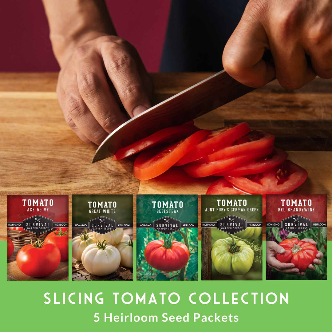 Slicing Tomato Seed Collection – 5 Heirloom &amp; Beefsteak Varieties for Large, Meaty Sandwich Tomatoes