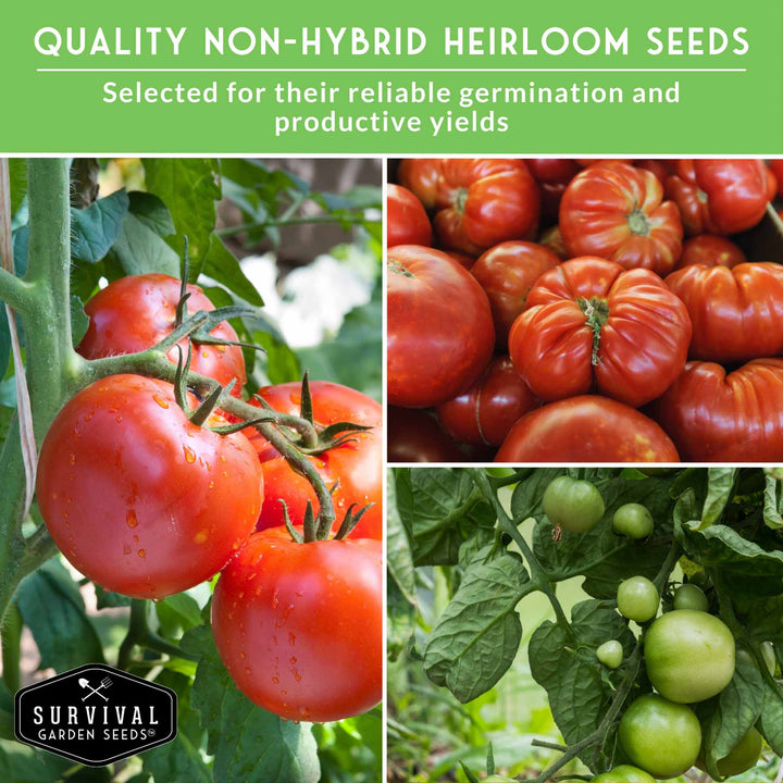 Slicing Tomato Seed Collection – 5 Heirloom &amp; Beefsteak Varieties for Large, Meaty Sandwich Tomatoes