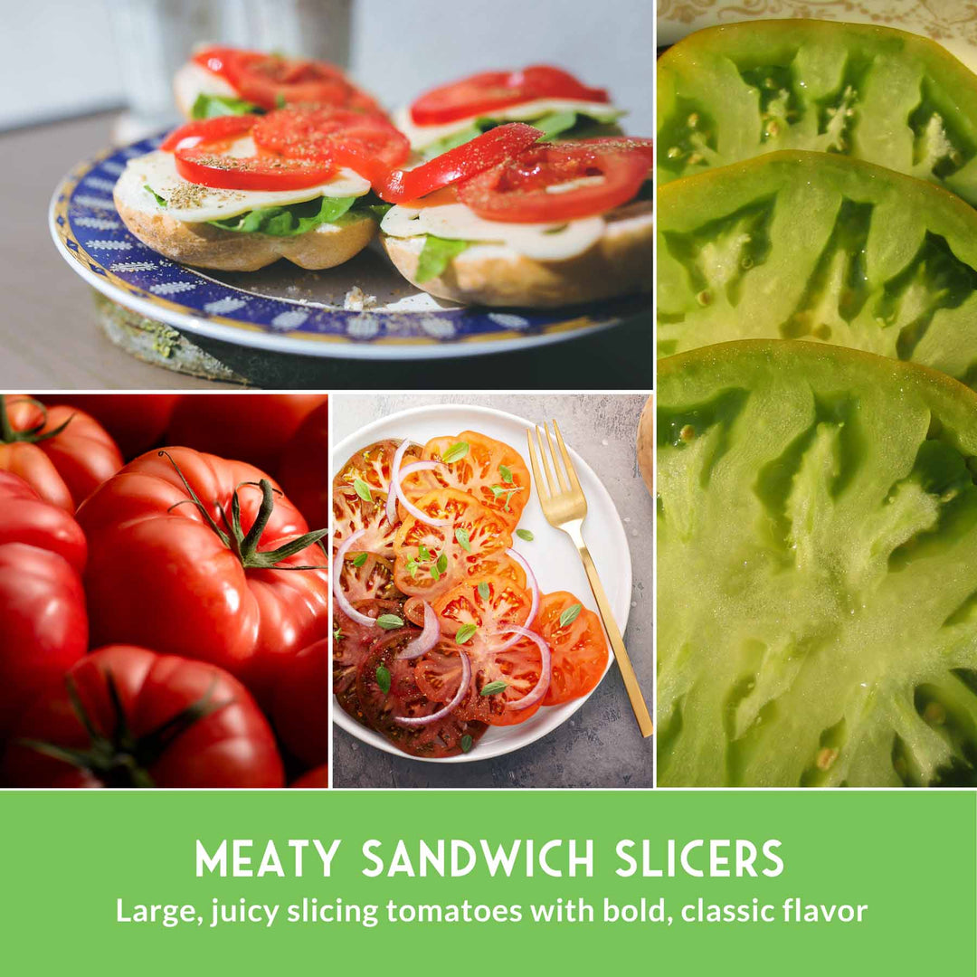 Slicing Tomato Seed Collection – 5 Heirloom &amp; Beefsteak Varieties for Large, Meaty Sandwich Tomatoes