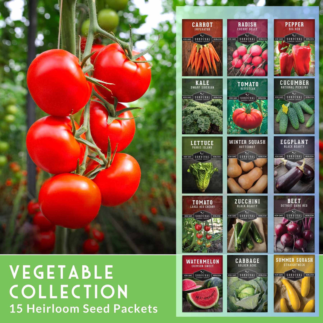 15-Variety Non-GMO Heirloom Vegetable Seed Collection