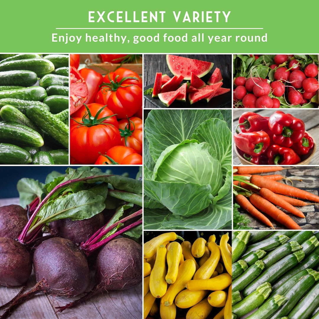 15-Variety Non-GMO Heirloom Vegetable Seed Collection