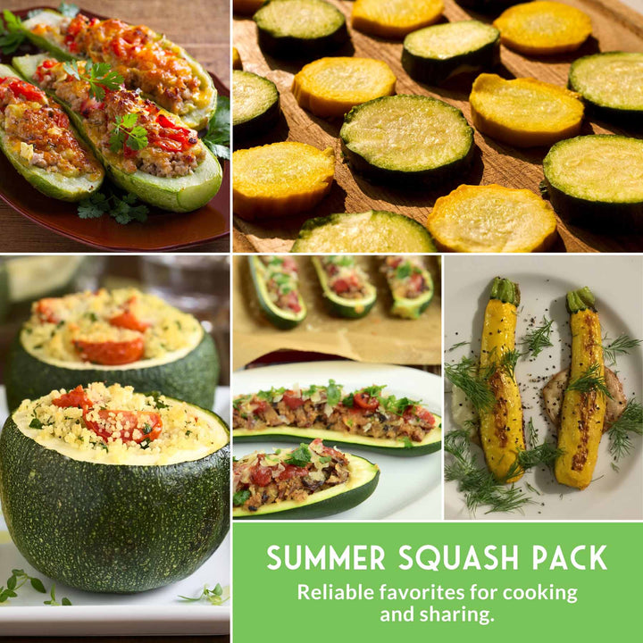 Zucchini &amp; Summer Squash Seed Collection – Black Beauty, Round, Golden, Grey Zucchini &amp; Straight Neck Yellow Squash