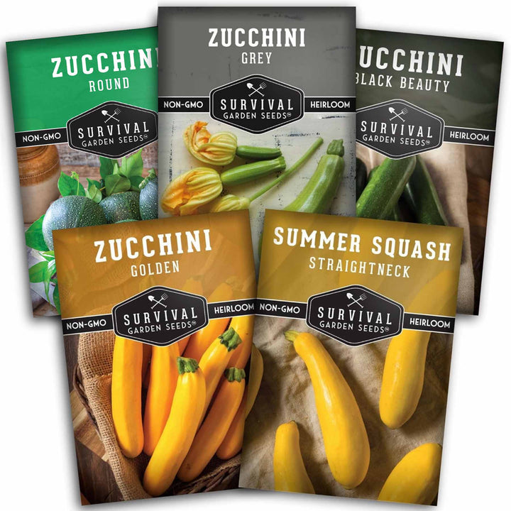 Zucchini &amp; Summer Squash Seed Collection – Black Beauty, Round, Golden, Grey Zucchini &amp; Straight Neck Yellow Squash