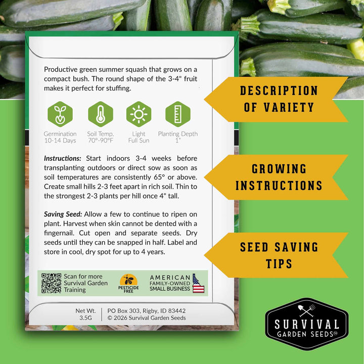 Zucchini &amp; Summer Squash Seed Collection – Black Beauty, Round, Golden, Grey Zucchini &amp; Straight Neck Yellow Squash