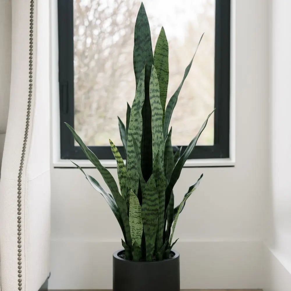 40" Artificial Snake Plant in Black Pot
