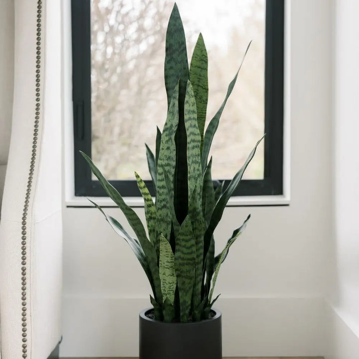 40" Artificial Snake Plant in Black Pot