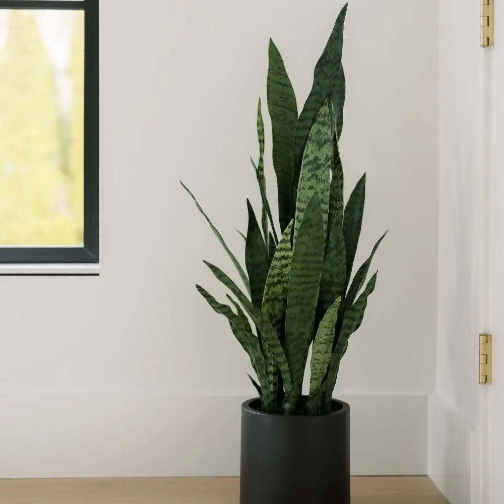 40" Artificial Snake Plant in Black Pot