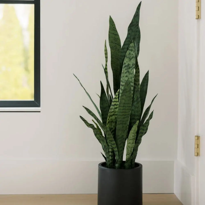 40" Artificial Snake Plant in Black Pot