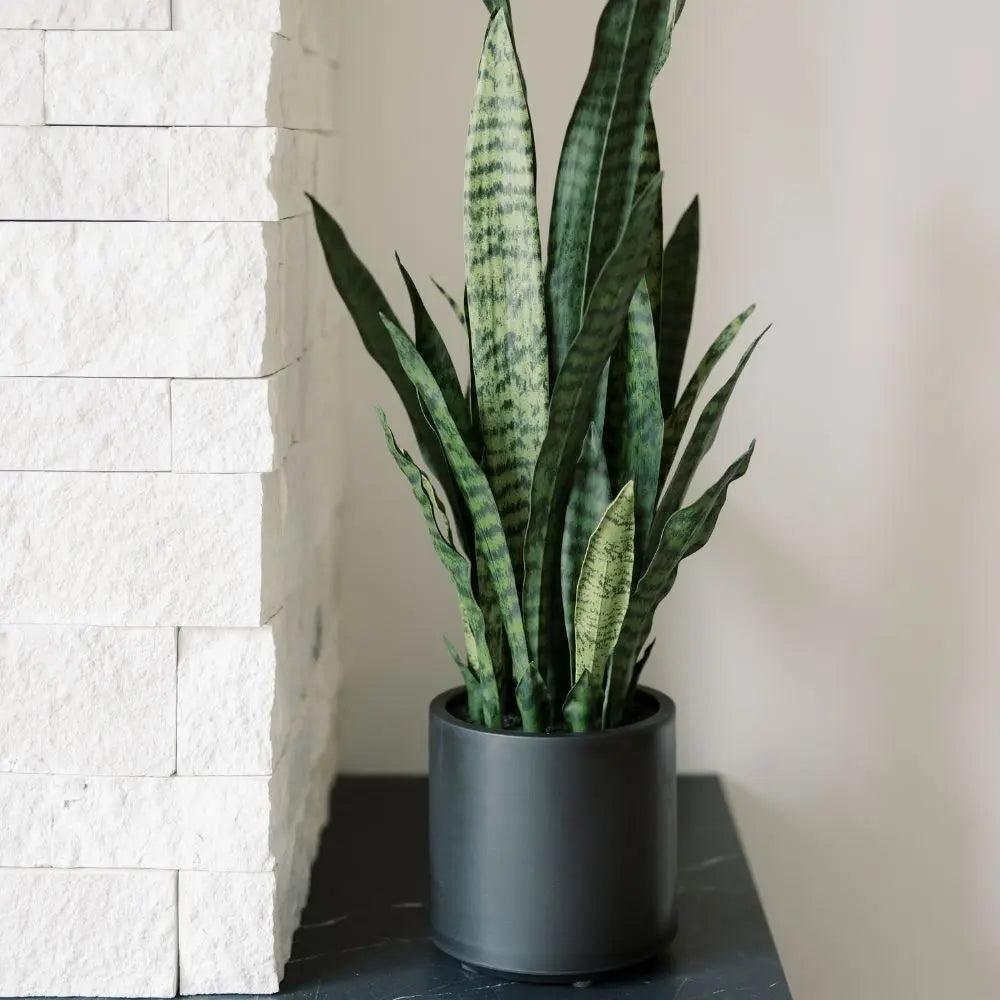 40" Artificial Snake Plant in Black Pot