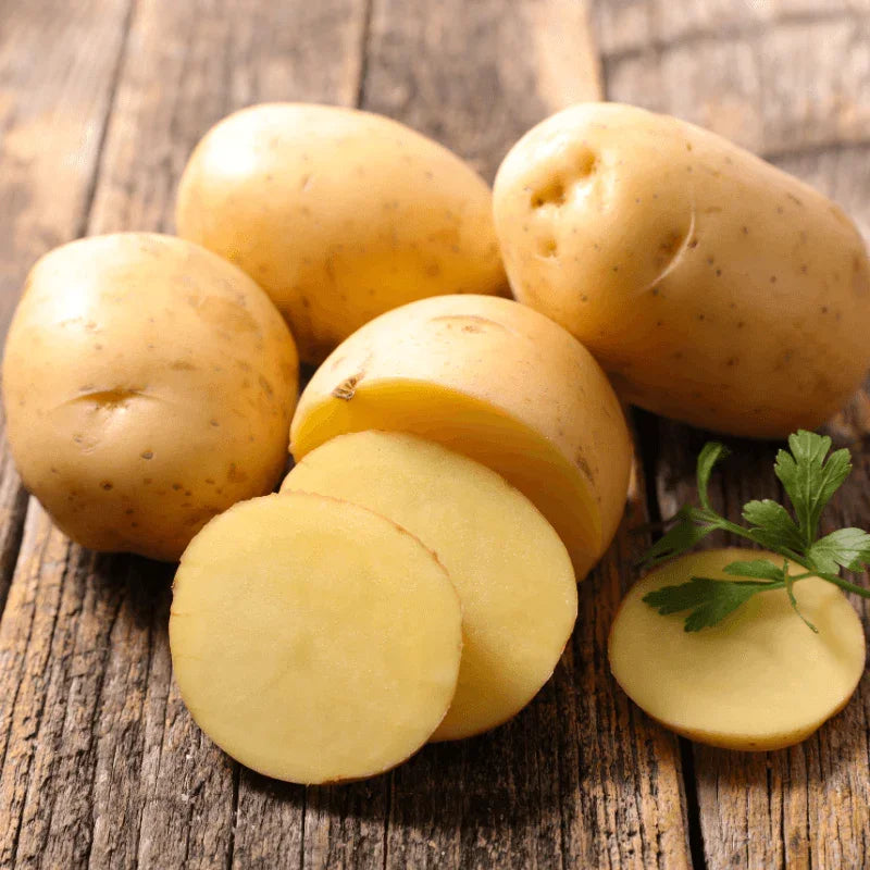 Organic German Butterball Seed Potato (lb)