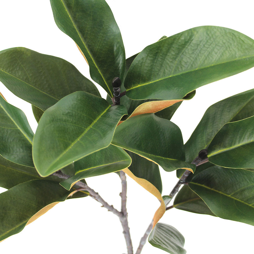 36" Faux Green Magnolia Leaf Stems, Set of 4